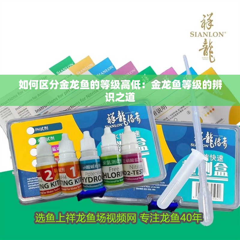如何區(qū)分金龍魚的等級高低：金龍魚等級的辨識之道
