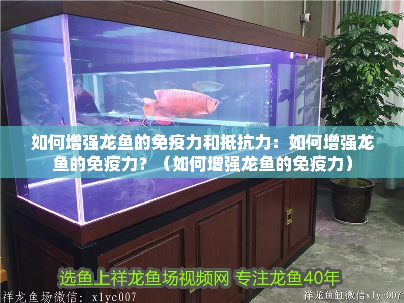 如何增強龍魚的免疫力和抵抗力：如何增強龍魚的免疫力？（如何增強龍魚的免疫力）