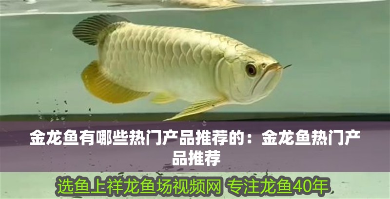 金龍魚有哪些熱門產(chǎn)品推薦的：金龍魚熱門產(chǎn)品推薦