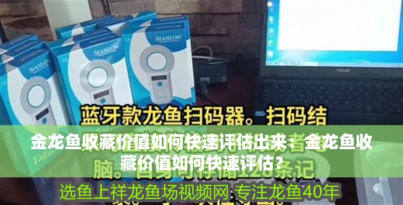 金龍魚收藏價值如何快速評估出來：金龍魚收藏價值如何快速評估？