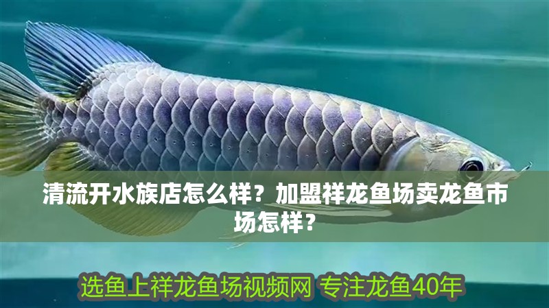 清流開水族店怎么樣？加盟祥龍魚場賣龍魚市場怎樣？ 清流開水族店怎么樣？加盟祥龍魚場賣龍魚市場怎樣？ 水族館百科（水族館加盟）