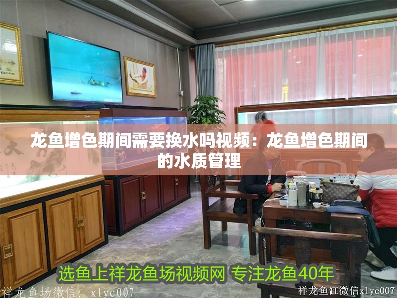 龍魚增色期間需要換水嗎視頻：龍魚增色期間的水質管理