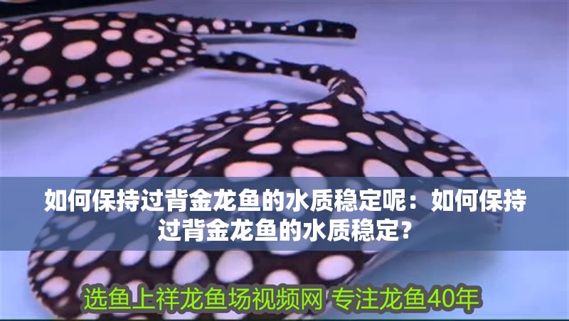 如何保持過(guò)背金龍魚(yú)的水質(zhì)穩(wěn)定呢：如何保持過(guò)背金龍魚(yú)的水質(zhì)穩(wěn)定？