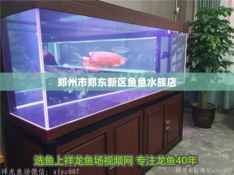 鄭州市鄭東新區魚魚水族店