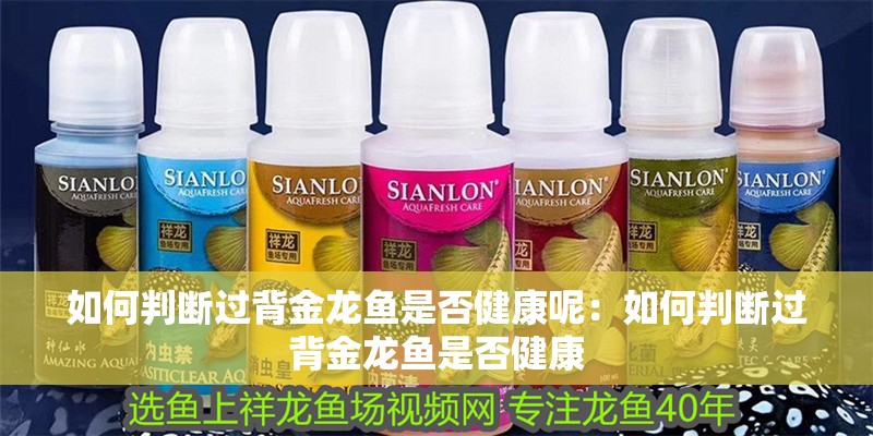如何判斷過背金龍魚是否健康呢：如何判斷過背金龍魚是否健康