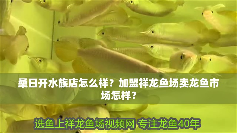 桑日開水族店怎么樣？加盟祥龍魚場賣龍魚市場怎樣？