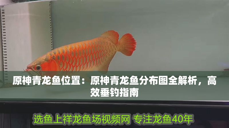 原神青龍魚位置：原神青龍魚分布圖全解析，高效垂釣指南