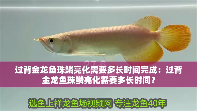 過背金龍魚珠鱗亮化需要多長時間完成：過背金龍魚珠鱗亮化需要多長時間？