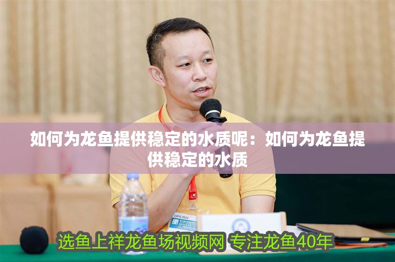 如何為龍魚提供穩定的水質呢：如何為龍魚提供穩定的水質