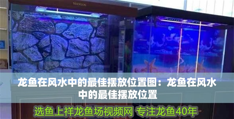 龍魚在風(fēng)水中的最佳擺放位置圖：龍魚在風(fēng)水中的最佳擺放位置