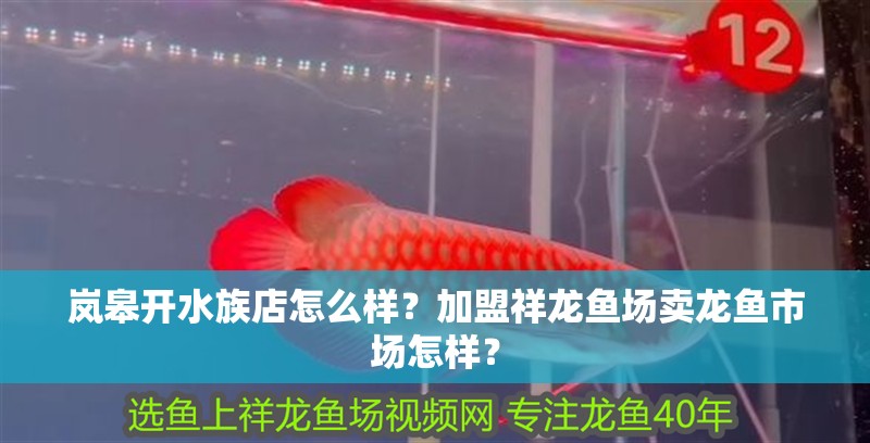嵐皋開水族店怎么樣？加盟祥龍魚場(chǎng)賣龍魚市場(chǎng)怎樣？