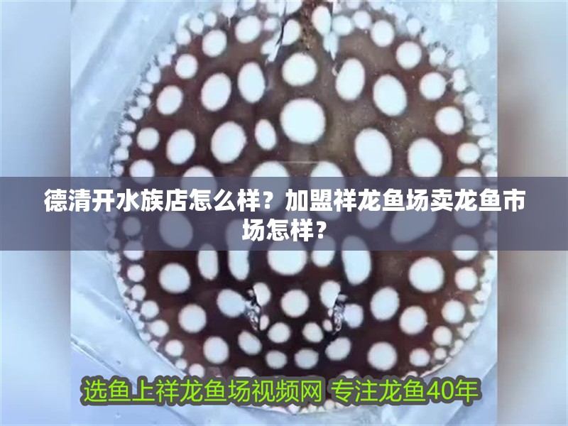 德清開(kāi)水族店怎么樣？加盟祥龍魚(yú)場(chǎng)賣(mài)龍魚(yú)市場(chǎng)怎樣？
