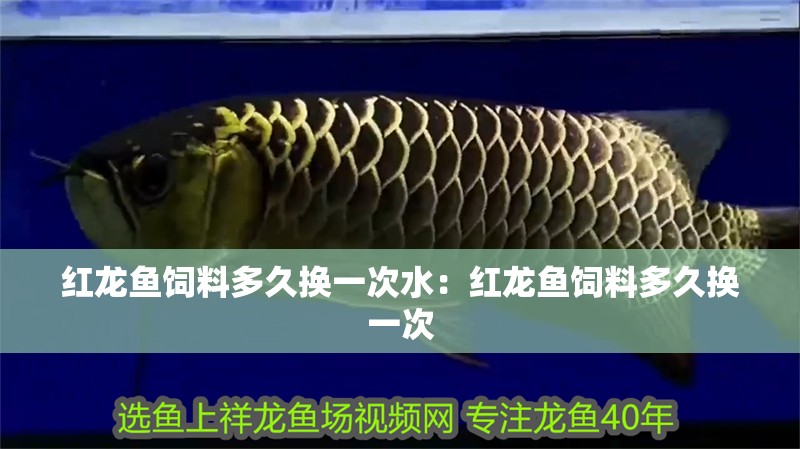 紅龍魚(yú)飼料多久換一次水：紅龍魚(yú)飼料多久換一次