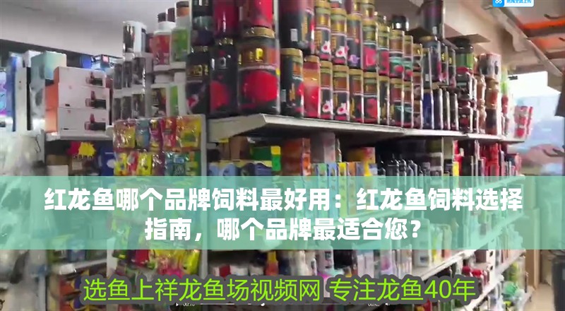 紅龍魚哪個品牌飼料最好用：紅龍魚飼料選擇指南，哪個品牌最適合您？