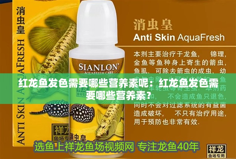 紅龍魚發(fā)色需要哪些營養(yǎng)素呢：紅龍魚發(fā)色需要哪些營養(yǎng)素？