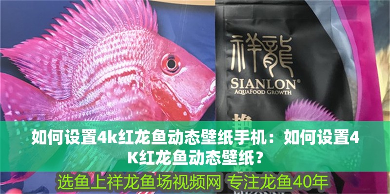 如何設置4k紅龍魚動態壁紙手機：如何設置4K紅龍魚動態壁紙？