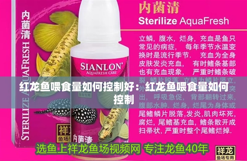 紅龍魚喂食量如何控制好：紅龍魚喂食量如何控制