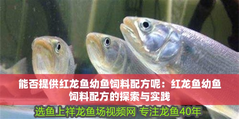能否提供紅龍魚幼魚飼料配方呢：紅龍魚幼魚飼料配方的探索與實踐