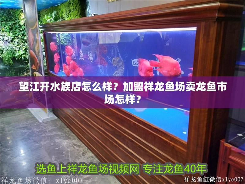 望江開水族店怎么樣？加盟祥龍魚場賣龍魚市場怎樣？