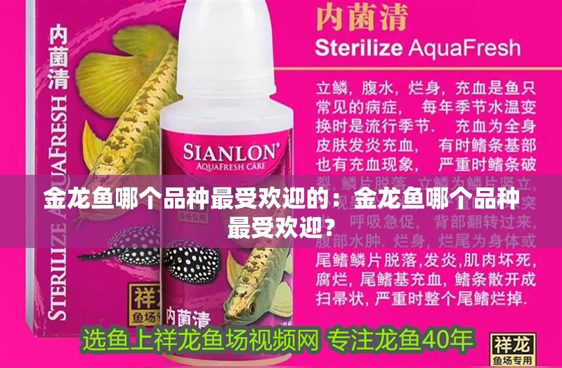 金龍魚哪個品種最受歡迎的：金龍魚哪個品種最受歡迎？