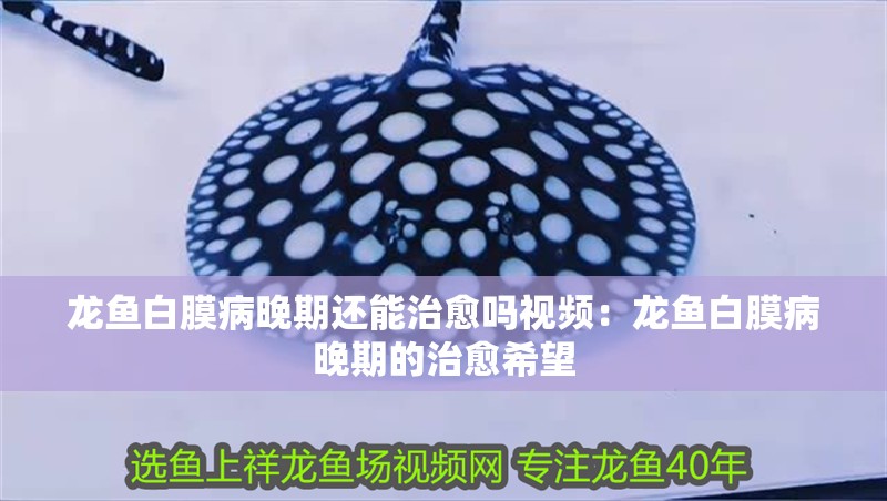 龍魚白膜病晚期還能治愈嗎視頻：龍魚白膜病晚期的治愈希望