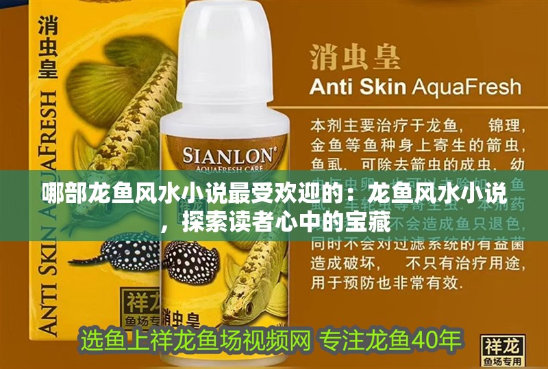 哪部龍魚風水小說最受歡迎的：龍魚風水小說，探索讀者心中的寶藏