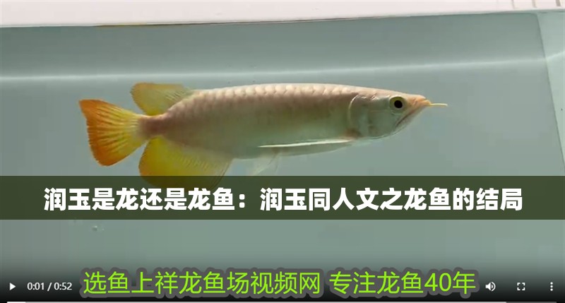 潤玉是龍還是龍魚：潤玉同人文之龍魚的結局