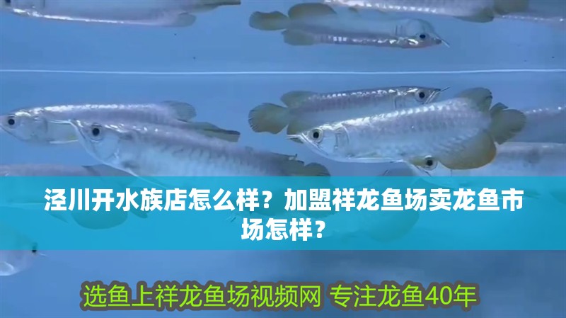 涇川開水族店怎么樣？加盟祥龍魚場(chǎng)賣龍魚市場(chǎng)怎樣？