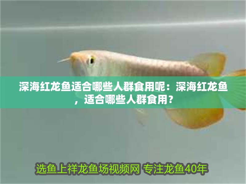 深海紅龍魚(yú)適合哪些人群食用呢：深海紅龍魚(yú)，適合哪些人群食用？