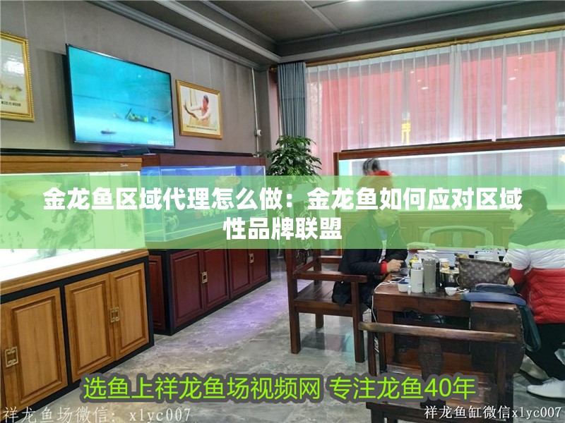 金龍魚區域代理怎么做：金龍魚如何應對區域性品牌聯盟