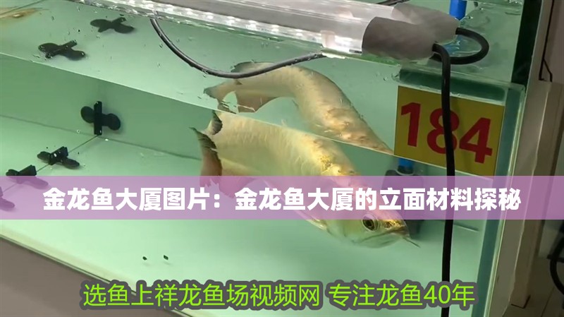 金龍魚大廈圖片：金龍魚大廈的立面材料探秘