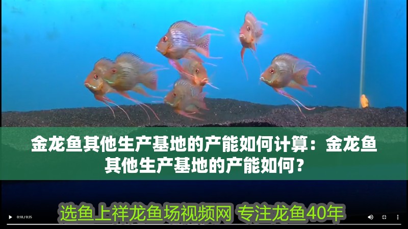 金龍魚其他生產基地的產能如何計算：金龍魚其他生產基地的產能如何？
