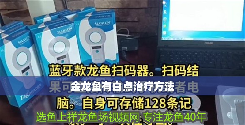 金龍魚有白點(diǎn)治療方法