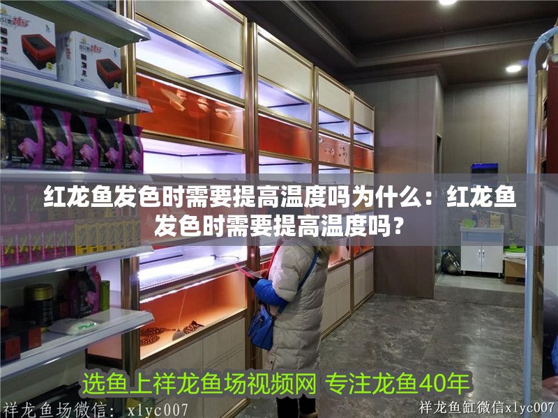 紅龍魚發色時需要提高溫度嗎為什么：紅龍魚發色時需要提高溫度嗎？