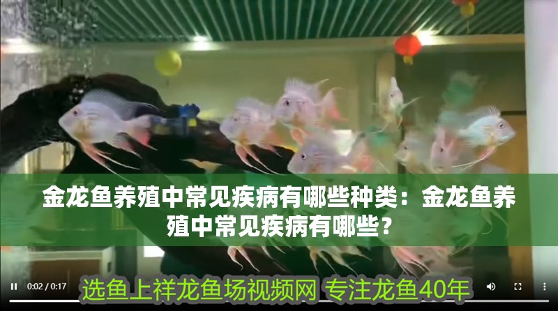 金龍魚養殖中常見疾病有哪些種類：金龍魚養殖中常見疾病有哪些？