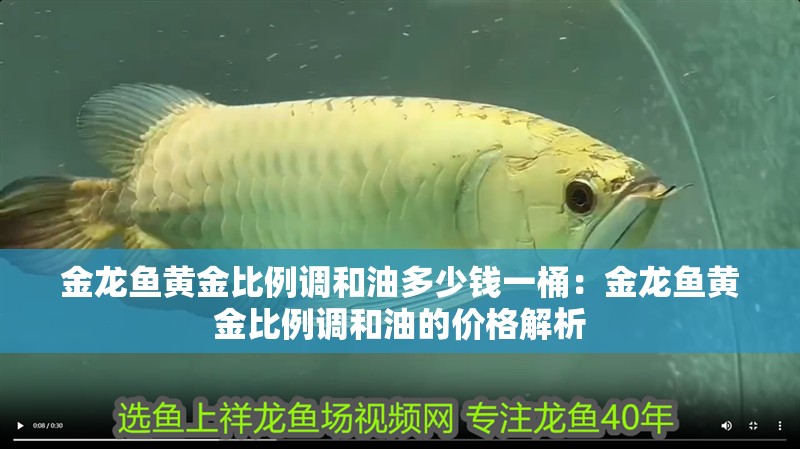 金龍魚(yú)黃金比例調(diào)和油多少錢一桶：金龍魚(yú)黃金比例調(diào)和油的價(jià)格解析