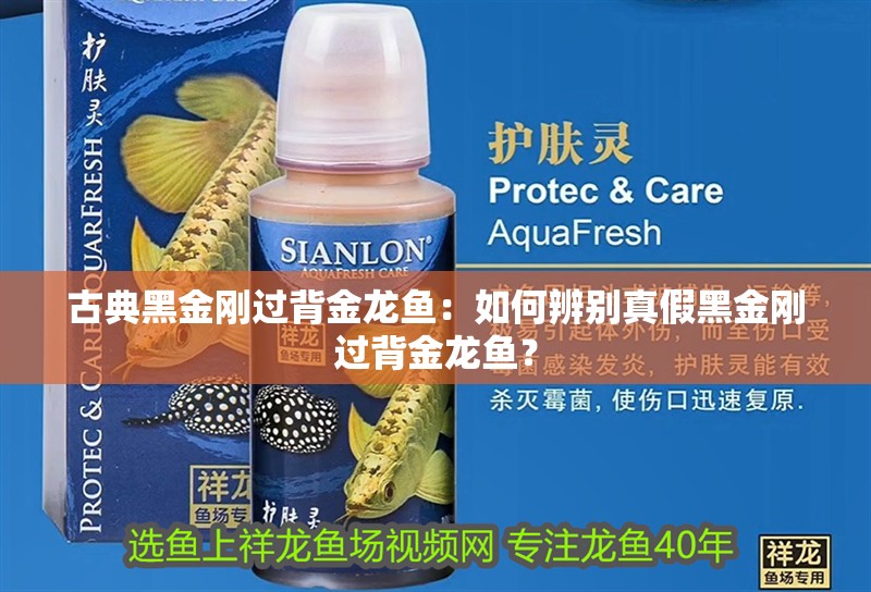 古典黑金剛過背金龍魚：如何辨別真假黑金剛過背金龍魚？