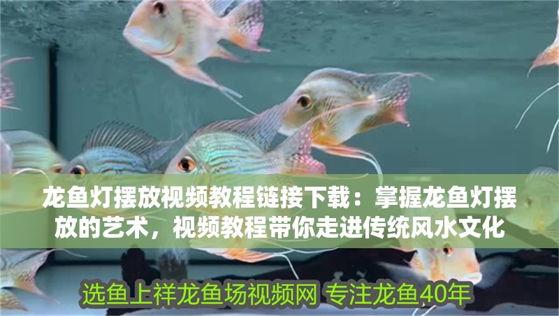 龍魚燈擺放視頻教程鏈接下載：掌握龍魚燈擺放的藝術(shù)，視頻教程帶你走進(jìn)傳統(tǒng)風(fēng)水文化
