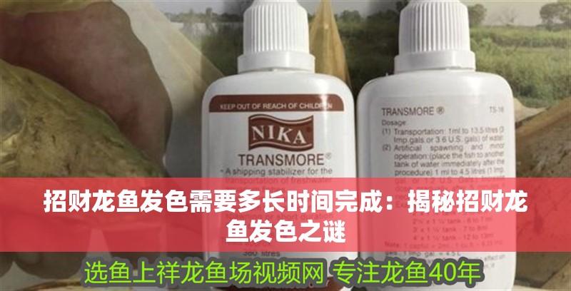 招財龍魚發(fā)色需要多長時間完成：揭秘招財龍魚發(fā)色之謎