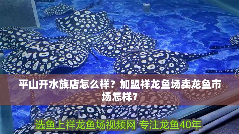 平山開水族店怎么樣？加盟祥龍魚場賣龍魚市場怎樣？