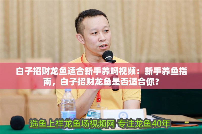 白子招財龍魚適合新手養(yǎng)嗎視頻：新手養(yǎng)魚指南，白子招財龍魚是否適合你？
