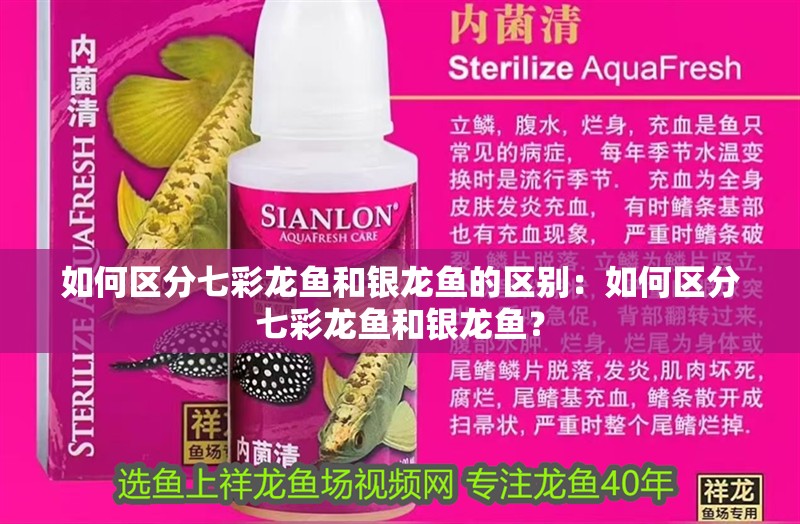 如何區分七彩龍魚和銀龍魚的區別：如何區分七彩龍魚和銀龍魚？