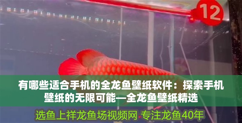 有哪些適合手機的全龍魚壁紙軟件：探索手機壁紙的無限可能—全龍魚壁紙精選