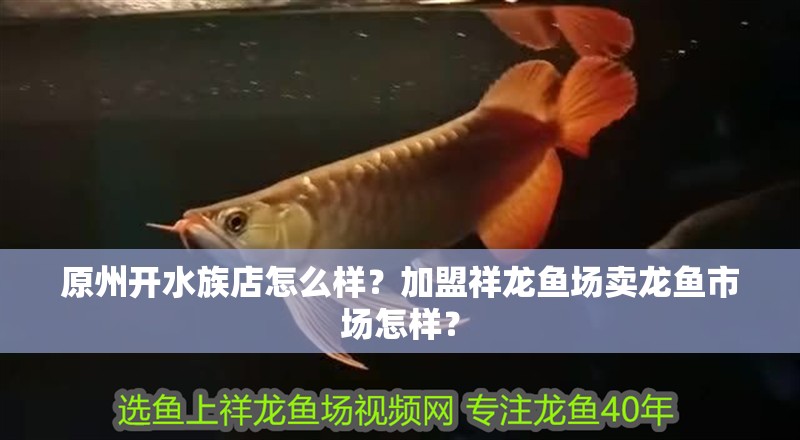 <strong><mark>原州</mark></strong>開水族店怎么樣？加盟祥龍魚場賣龍魚市場怎樣？