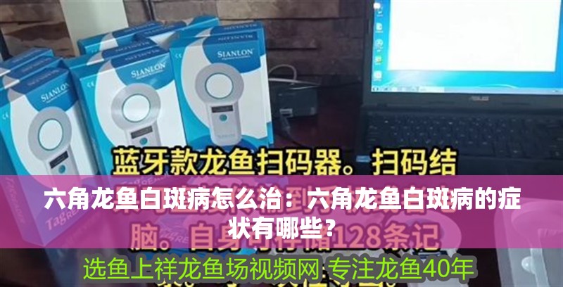 六角龍魚白斑病怎么治：六角龍魚白斑病的癥狀有哪些？