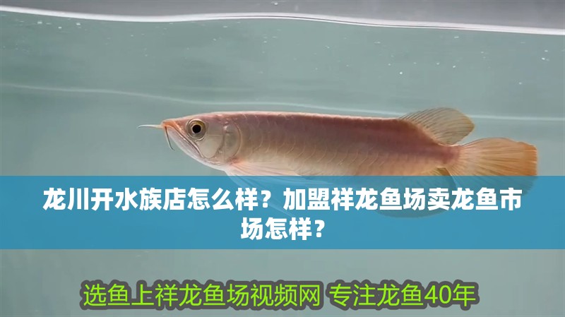 龍川開水族店怎么樣？加盟祥龍魚場賣龍魚市場怎樣？