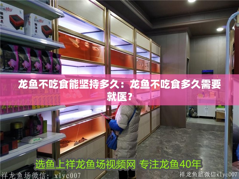 龍魚不吃食能堅持多久：龍魚不吃食多久需要就醫？