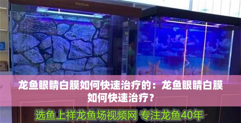 龍魚眼睛白膜如何快速治療的：龍魚眼睛白膜如何快速治療？