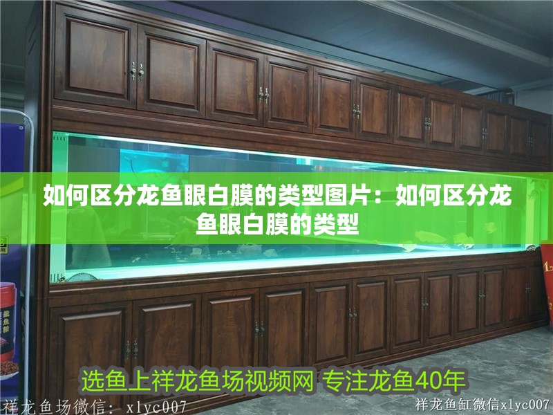 如何區分龍魚眼白膜的類型圖片：如何區分龍魚眼白膜的類型
