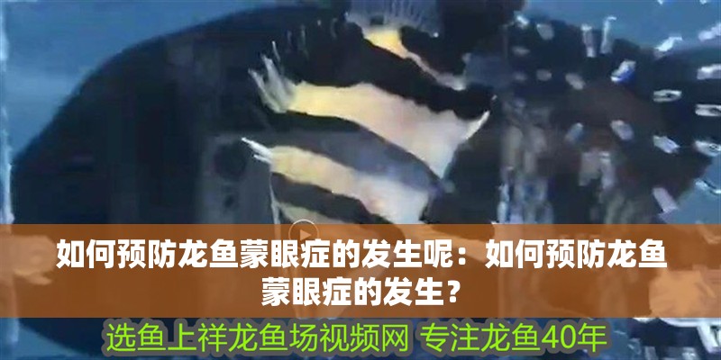 如何預防龍魚蒙眼癥的發(fā)生呢：如何預防龍魚蒙眼癥的發(fā)生？